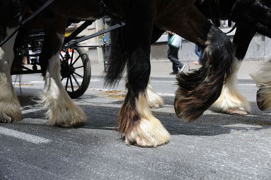 Festa dels Tres Tombs de Sant Antoni